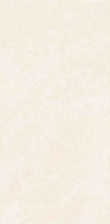 OL Marfil Matte 12 x 24